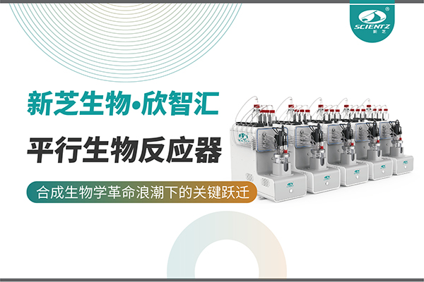 培养菌株和评估工艺参数影响太难太慢？平行生物反应器提供关键解决方案！