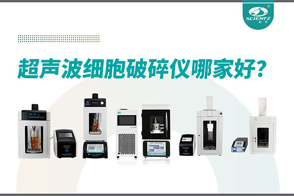 超声波破碎仪厂家推荐：深耕本土，服务全球-宁波KY开元生物