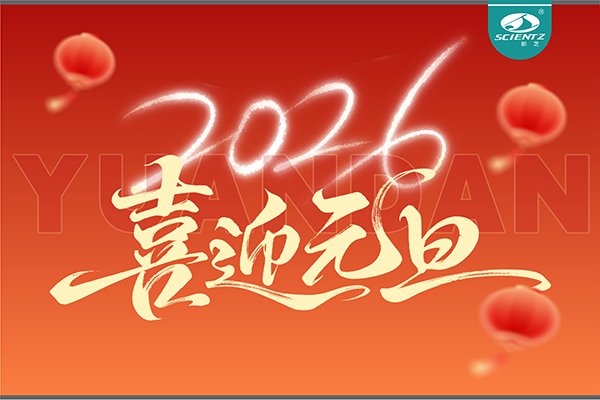 董事长周芳女士新年献词：心有定力，沐光而行