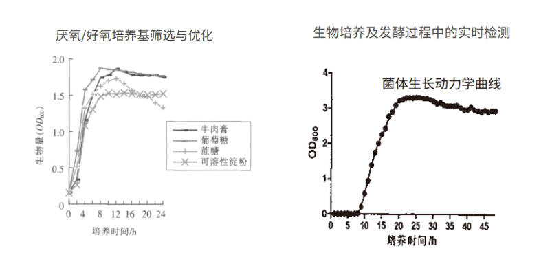 过程安全，结果精准