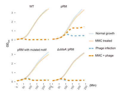 微信图片_20251222130745